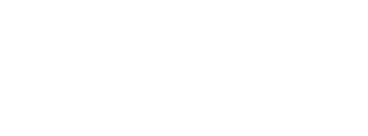 बस्तर डगर